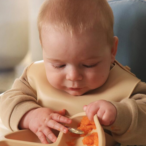 Baby who has just started eating in a bib holding a tray of orange pureed food.